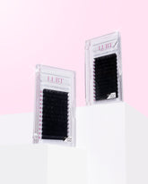 THE ESSENTIAL COLLECTION